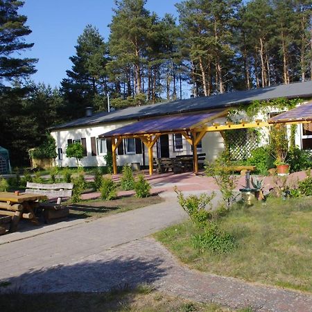 Hostel Waldhaus Am Ferienpark Mirow -Zimmer Du Wc Exteriér fotografie